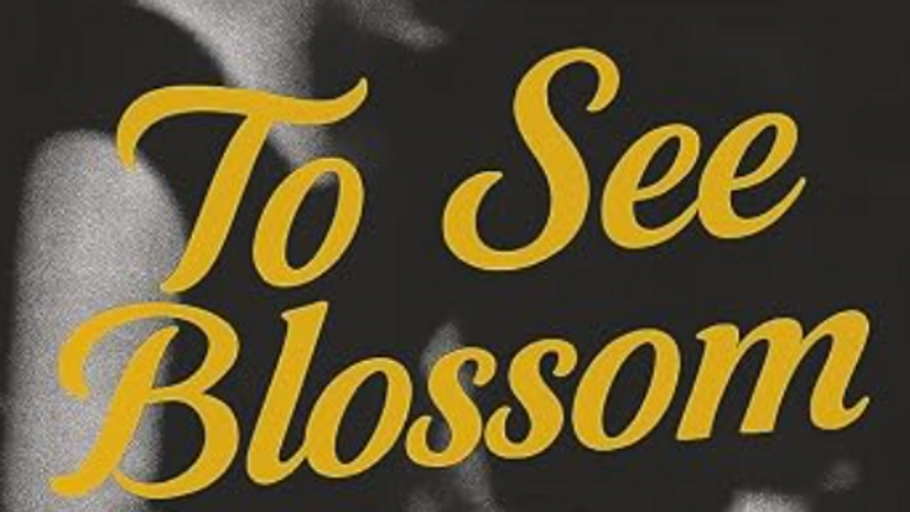 To See Blossom by D.C. Bloom Book Release Event, August 11, 2026